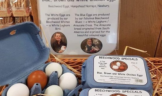 beechwood-free-range-farmyard-chicken-eggs